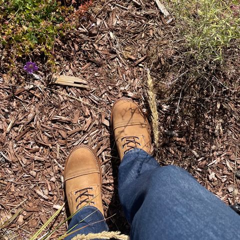 Red Wing Iron Ranger in S.B. Foot Hawthorne Muleskinner