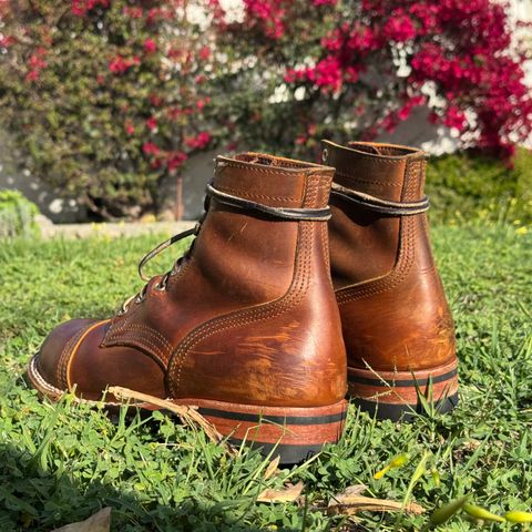 Nicks Americana in Horween Orange Predator