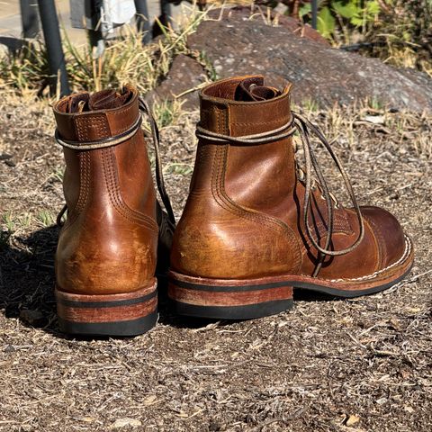 Nicks Americana in Horween Orange Predator