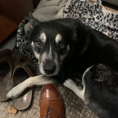 View photo of Allen Edmonds Hamilton in Walnut Calfskin