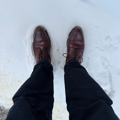 Meermin Jumper Boot in Burgundy Heritage Shell Cordovan