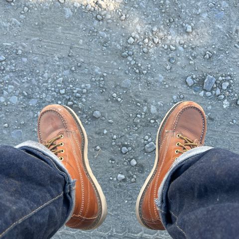 Thorogood 8" Moc Toe in Tobacco Gladiator Oil-Tanned