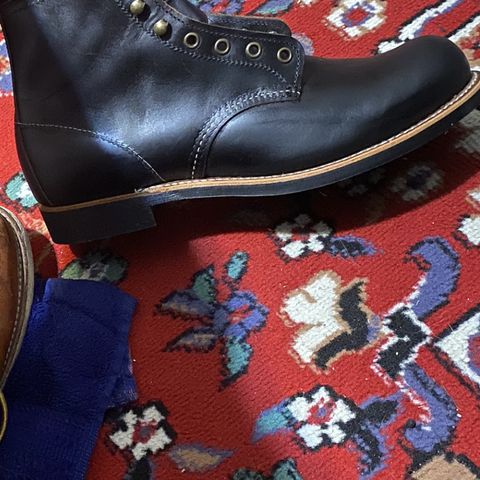 Red Wing Blacksmith in S.B. Foot Black Prairie