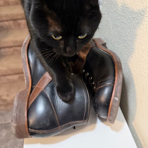 Dr. Sole Ski Boot in Horween Black Chromexcel