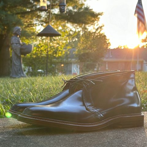 Alden 2-Eyelet Chukka in Horween Color 8 Shell Cordovan