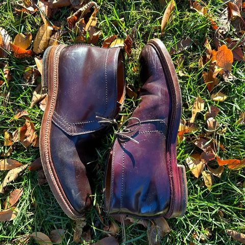 Alden 2-Eyelet Chukka in Horween Color 8 Shell Cordovan