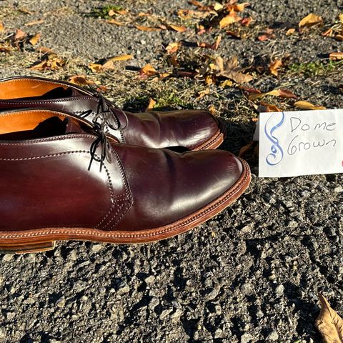 Alden 2-Eyelet Chukka in Horween Color 8 Shell Cordovan