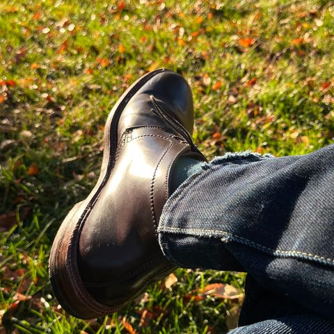 Alden 2-Eyelet Chukka in Horween Color 8 Shell Cordovan