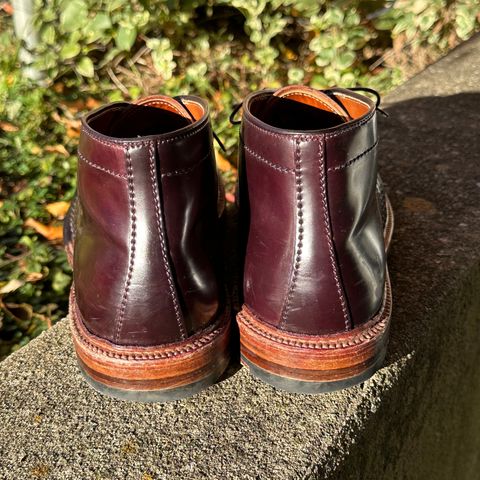 Alden 2-Eyelet Chukka in Horween Color 8 Shell Cordovan