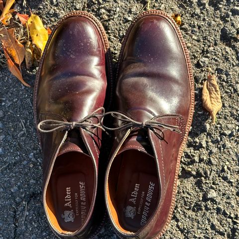 Alden 2-Eyelet Chukka in Horween Color 8 Shell Cordovan
