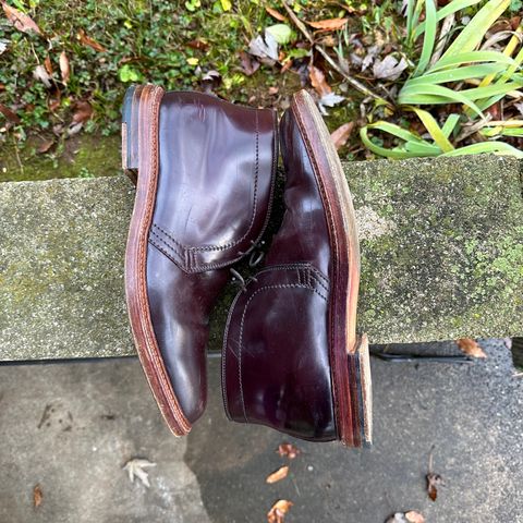 Alden 2-Eyelet Chukka in Horween Color 8 Shell Cordovan
