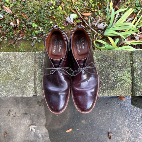Alden 2-Eyelet Chukka in Horween Color 8 Shell Cordovan