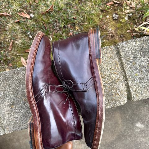 Alden 2-Eyelet Chukka in Horween Color 8 Shell Cordovan