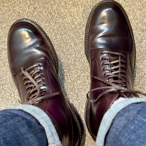 Alden Plain Toe Boot in Horween Color 8 Shell Cordovan