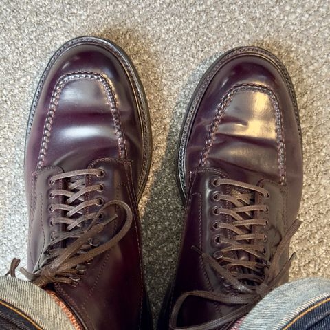 Alden Indy Boot in Horween Color 8 Shell Cordovan