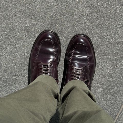 Alden Indy Boot in Horween Color 8 Shell Cordovan