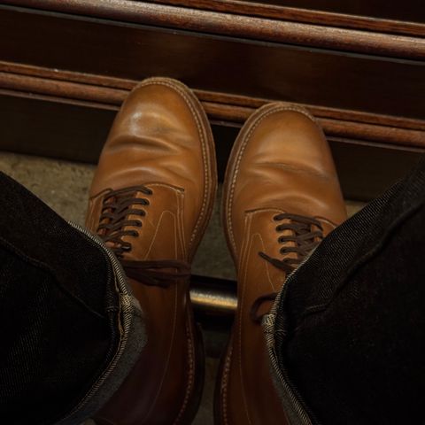 Search result thumbnail of Alden Plain Toe Boot in Horween Natural Chromexcel