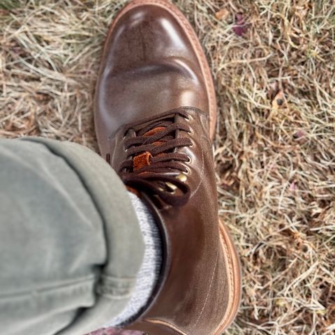 Search result thumbnail of Allen Edmonds Higgins Mill in Horween Brown Chromexcel