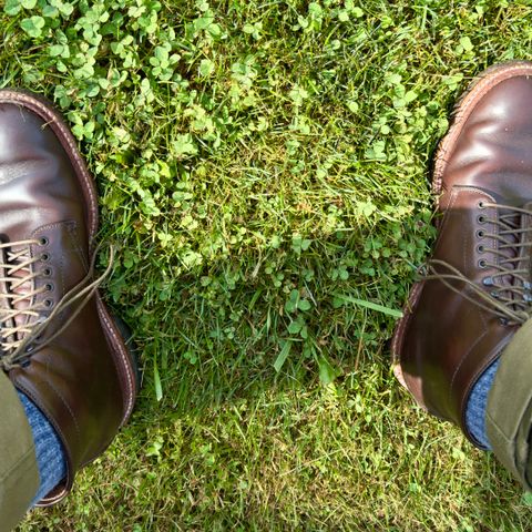 Alden Plain Toe Boot in Horween Brown Chromexcel