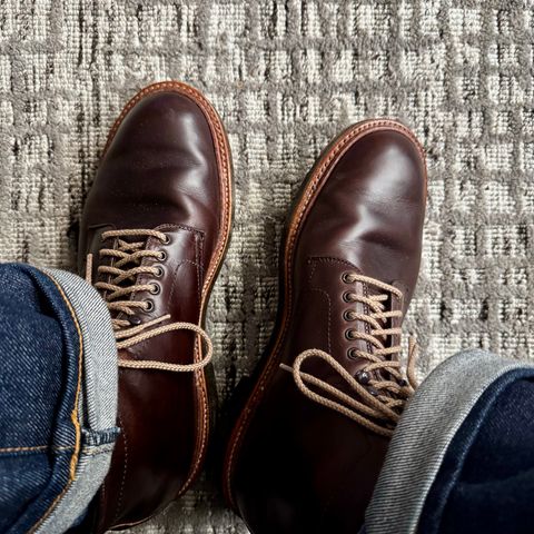 Alden Plain Toe Boot in Horween Brown Chromexcel