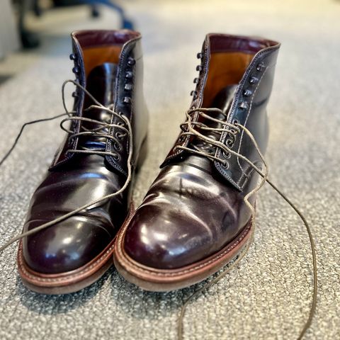 Search result thumbnail of Alden Plain Toe Boot in Horween Color 8 Shell Cordovan