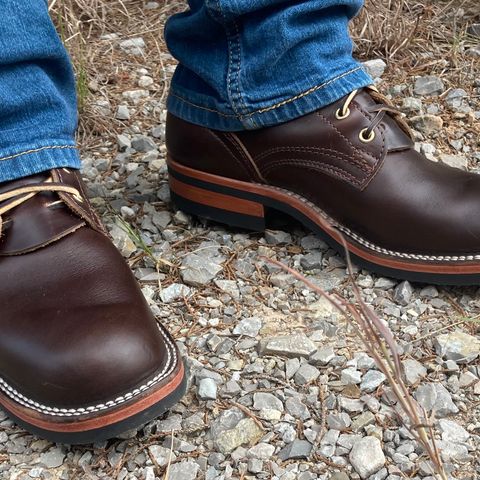 Nicks Falcon in Horween Brown Chromexcel
