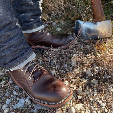Nicks Falcon in Horween Brown Chromexcel