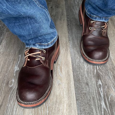Nicks Falcon in Horween Brown Chromexcel