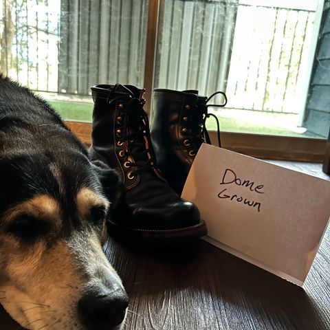 Quan Shoemaker Unknown Model in Maryam Black Horsebutt