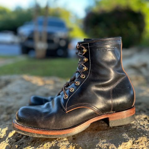 Quan Shoemaker Unknown Model in Maryam Black Horsebutt