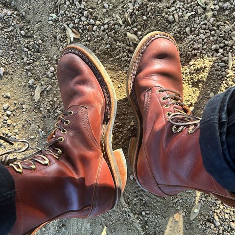 White's Packer in Seidel Red Dog Oil Tan
