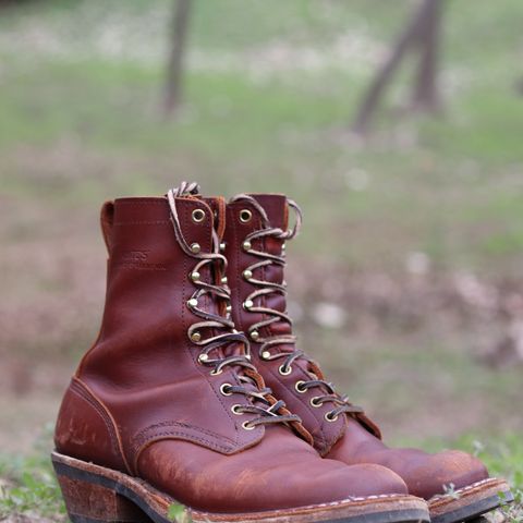 White's Packer in Seidel Red Dog Oil Tan