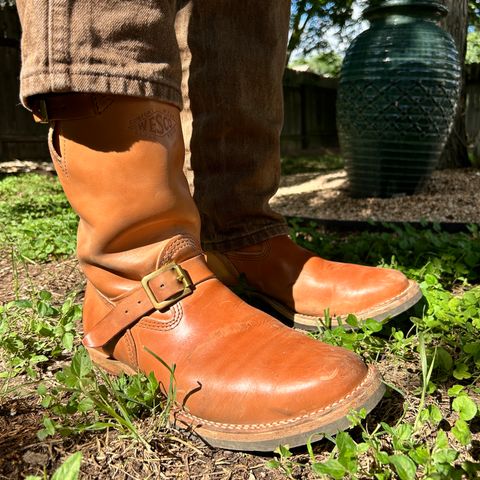 Wesco Mister Lou in Maryam Natural Horsebutt