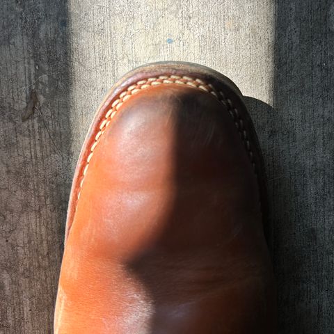 Wesco Mister Lou in Maryam Natural Horsebutt