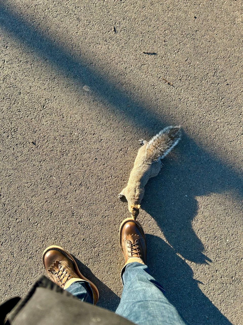 Whites Green Pasture Lace To Toe C350ltt-cs in Horween Greener Pastures ...